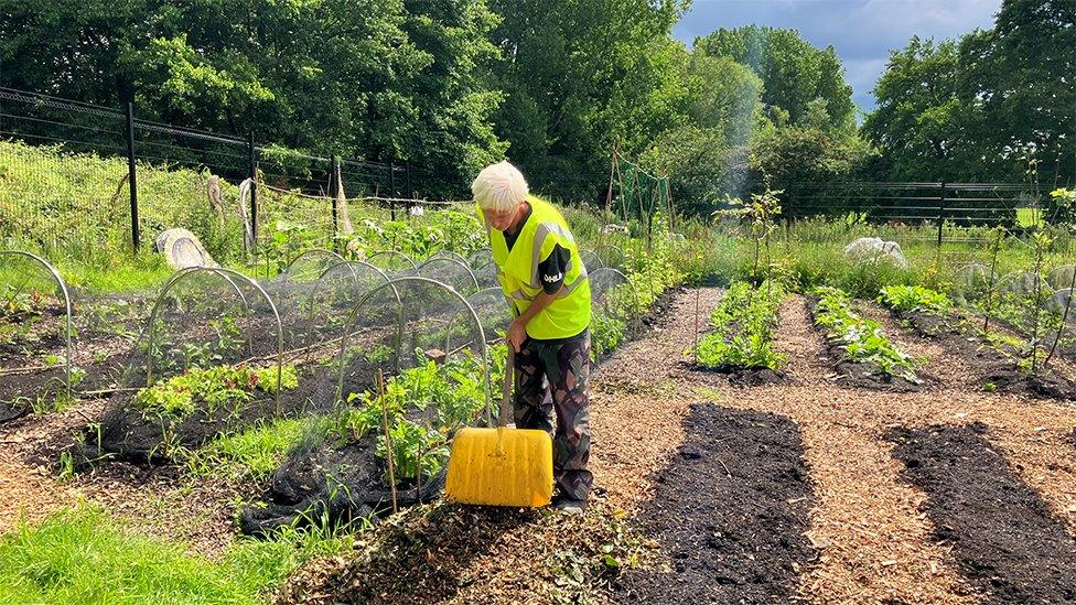 Volunteer working at the Northern Roots site