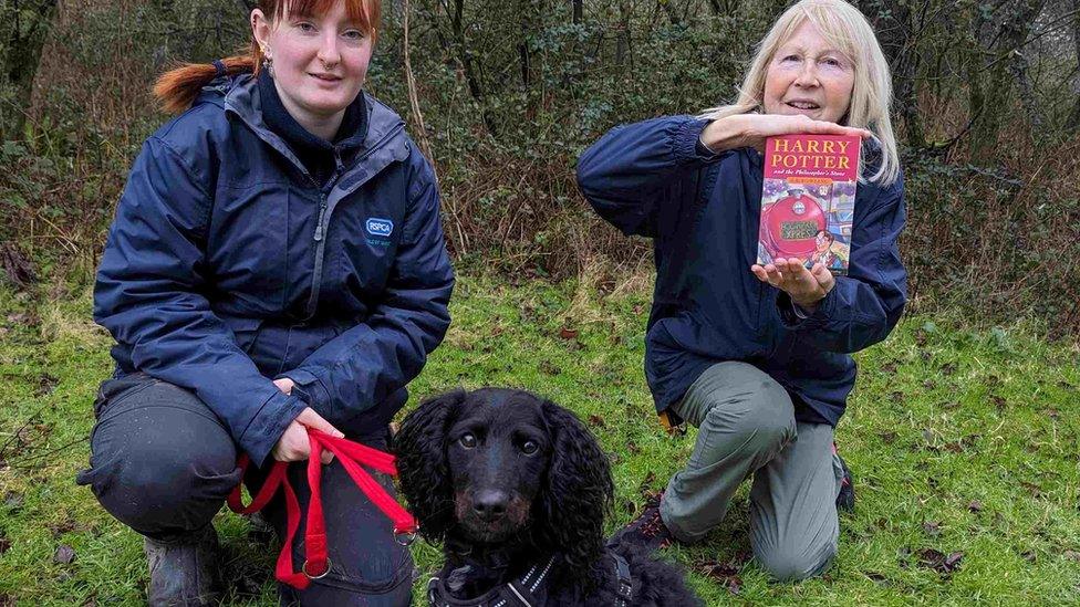 Staff from RSPCA branch with Harry the dog