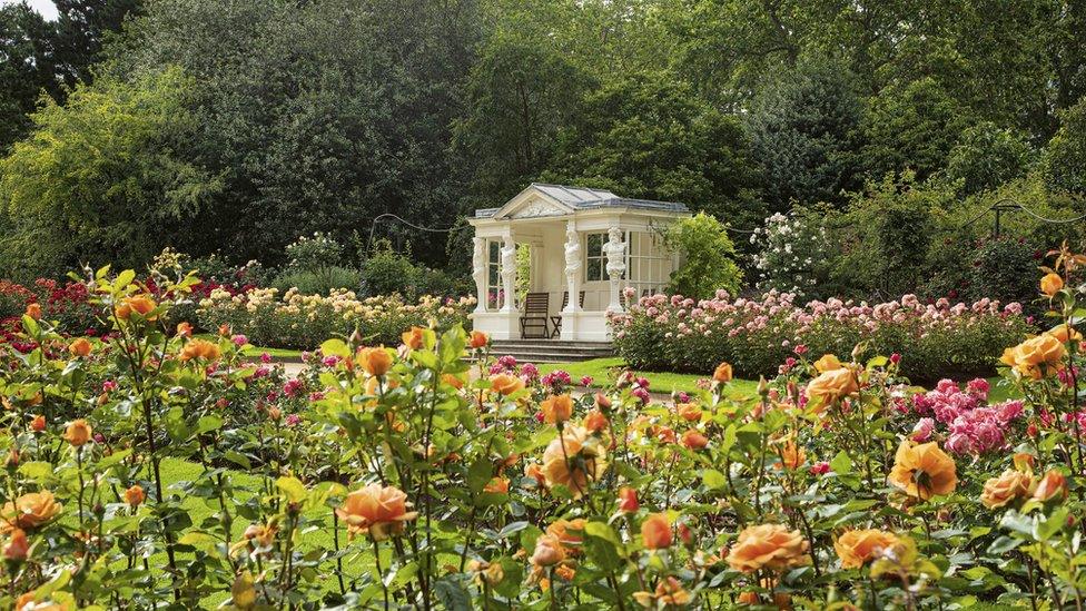 Buckingham Palace garden