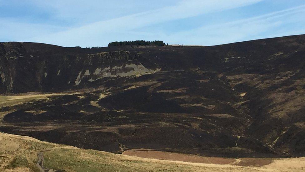 Some of the burnt mountain