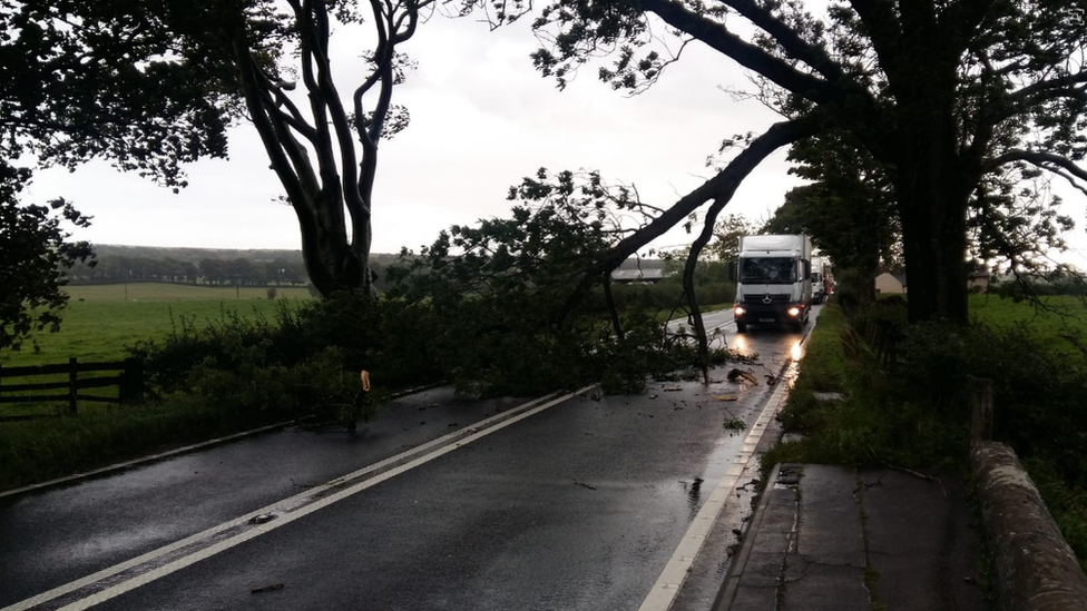 Kingholm Road in Dumfries was blocked by a fallen tree