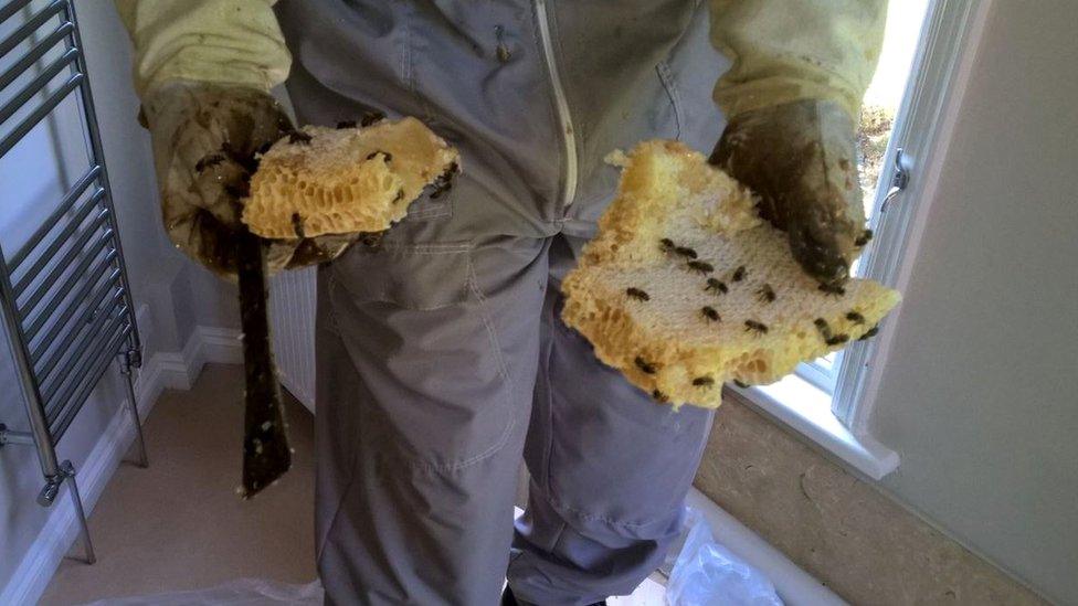 Man with parts of the honey comb