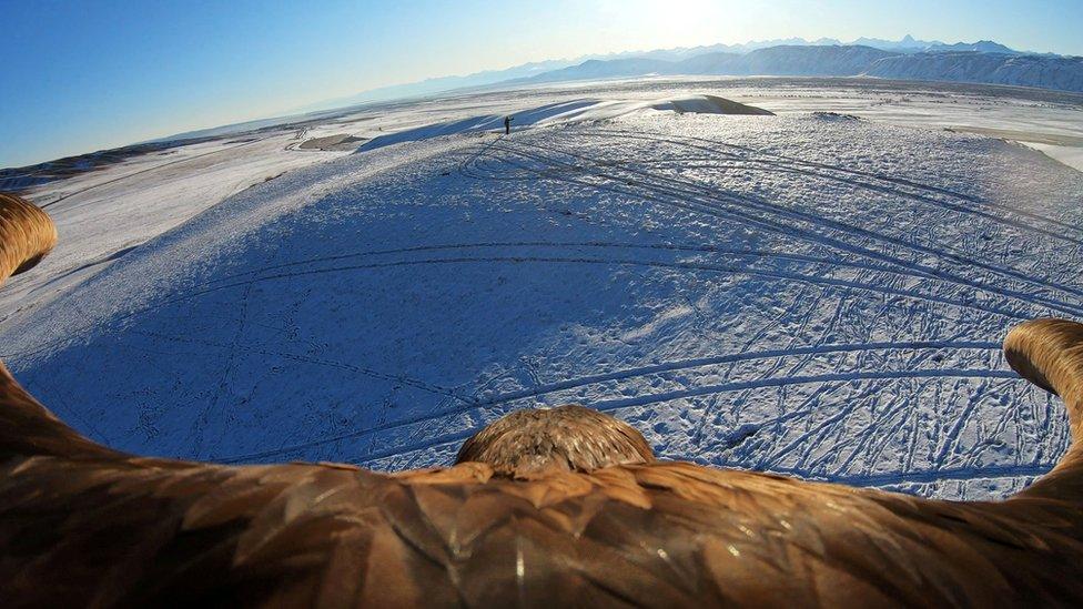 A still image taken from a video shows a tamed golden eagle soaring, during a traditional hunting contest outside the village of Kaynar in Almaty region, Kazakhstan, 9 December 2019.