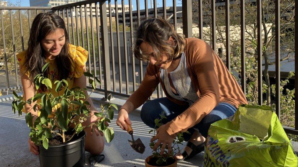 "My first call - I was really nervous." says Paulina Luna Martinez, left, gardening with her housemate Elsie Gonzalez in New Haven