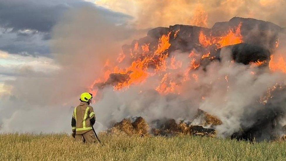 Haystack fire, Sheering