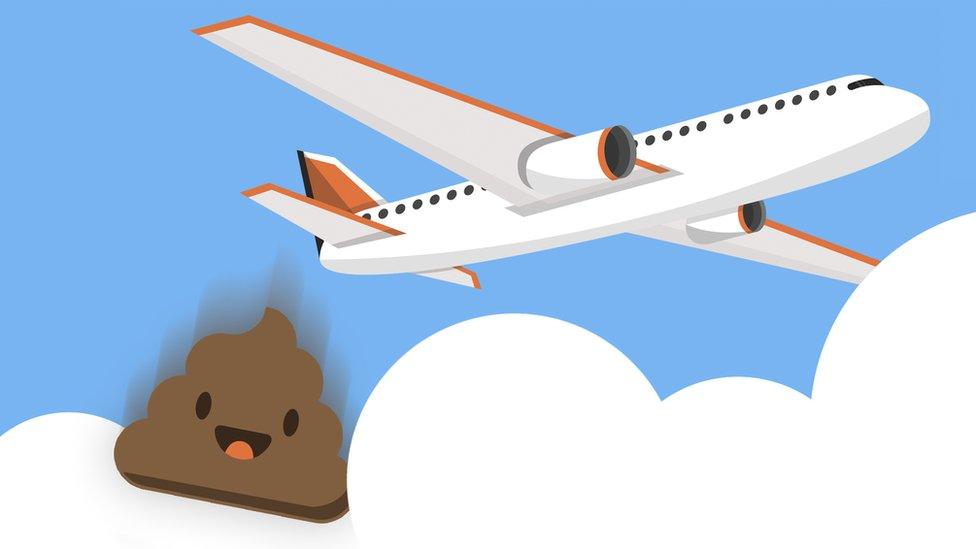 poo falling from plane