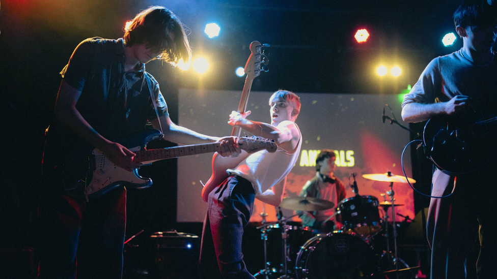 Pack of Animals playing a gig