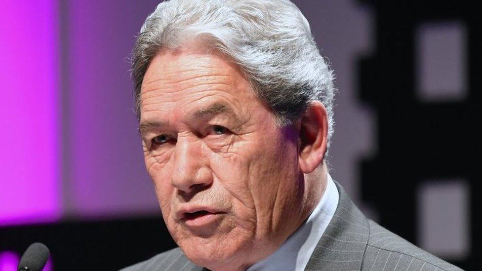 Winston Peters. File photo