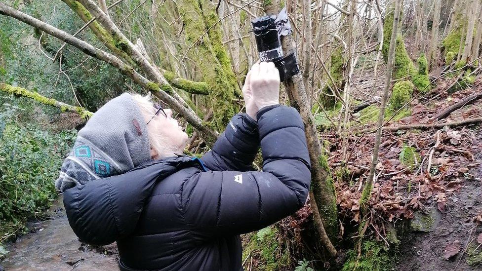 Janette Kerr setting up one of the cameras in woodland