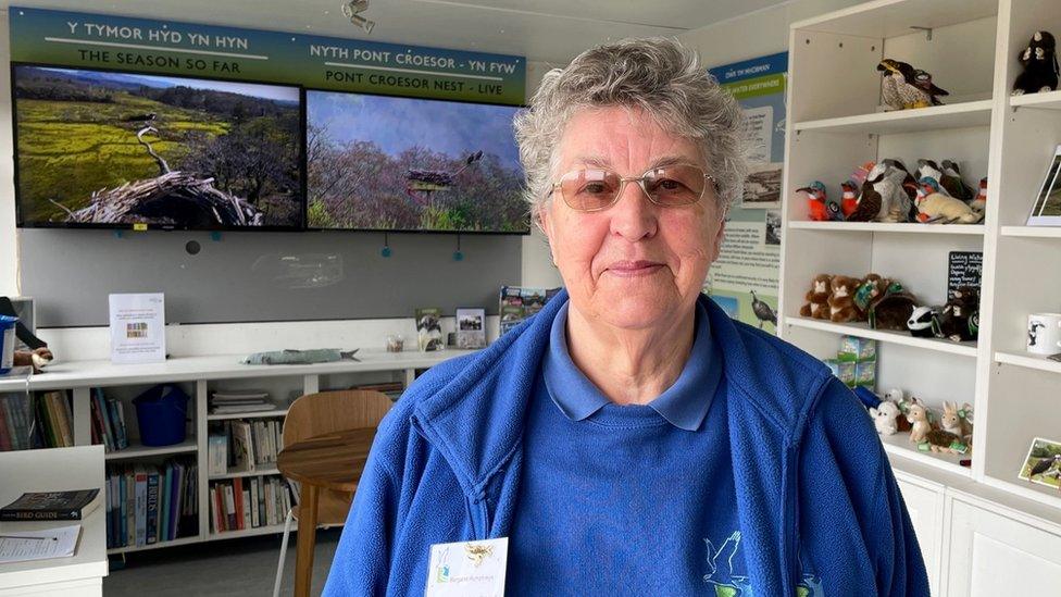 Margaret Humphreys at the Glaslyn Wildlife Centre