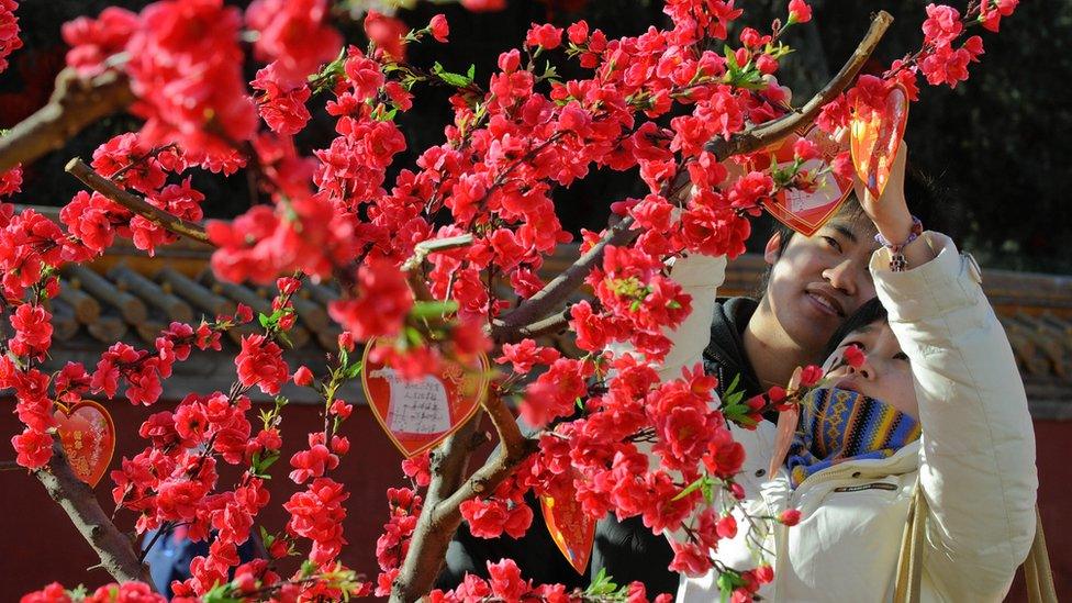 A Chinese couple with a peach blossom tree