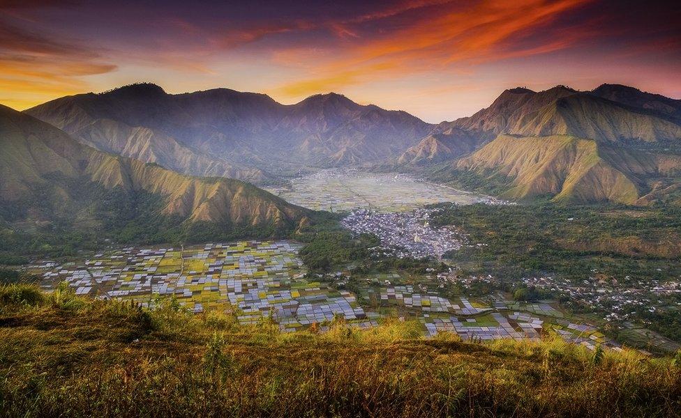 A patchwork of vegetable fields surrounded by mountains