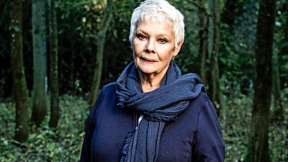 Judi Dench