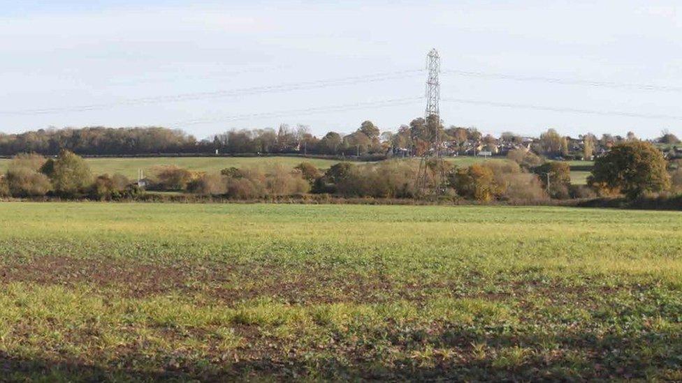 Photo of the site designated for the new homes, featuring a field, a line of trees and a pylon.