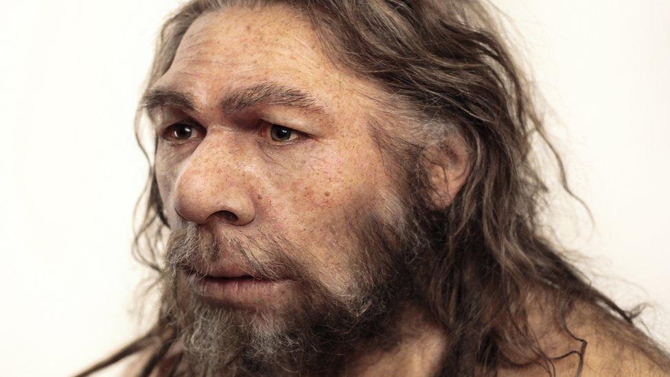 Neanderthal reconstruction