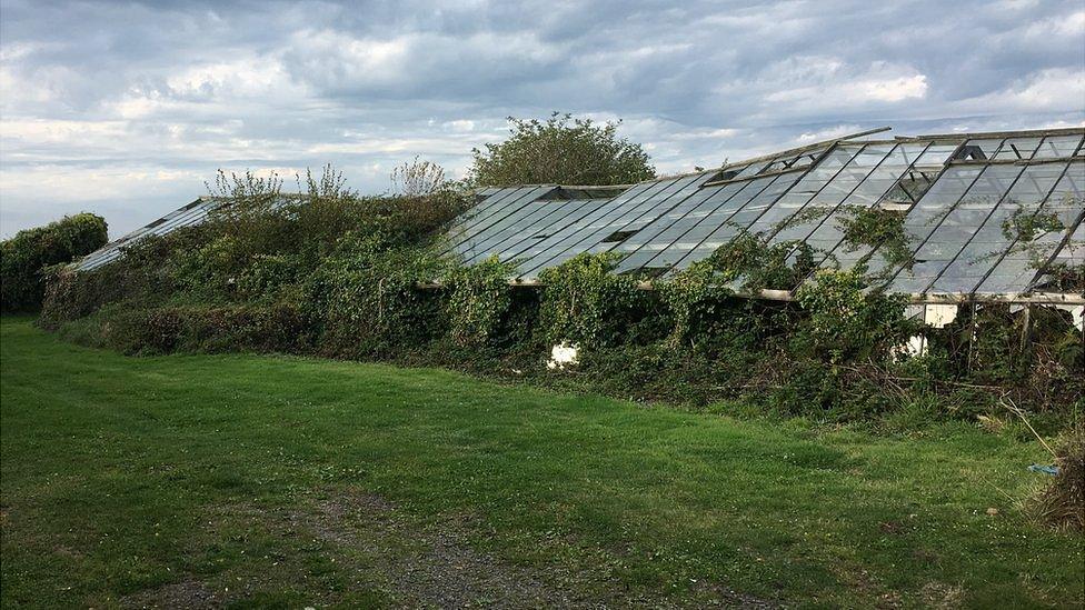 Derelict greenhouse