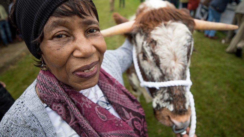 Una at the Great Yorkshire Show