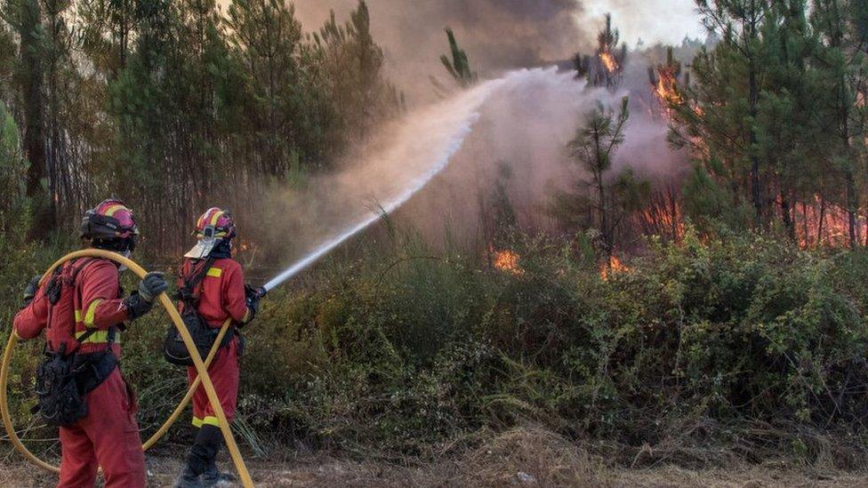 Spanish firefighters combat a forest fire in Portugal in 2017