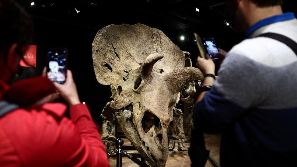 Visitors look at the skeleton of a gigantic Triceratops over 66 million years old, named "Big John", on display before its auction in Paris.