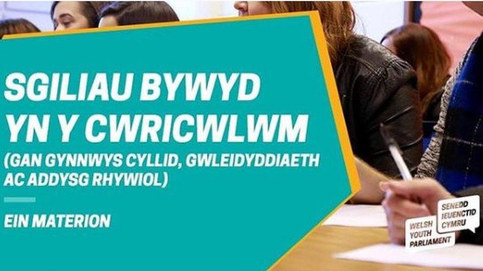 adroddiad senedd ieuenctid