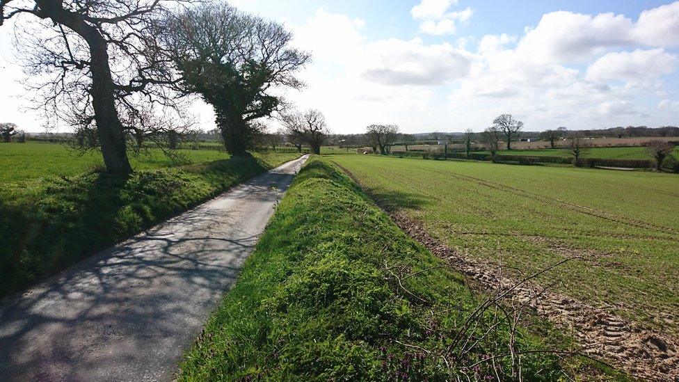 Back Lane, Metton