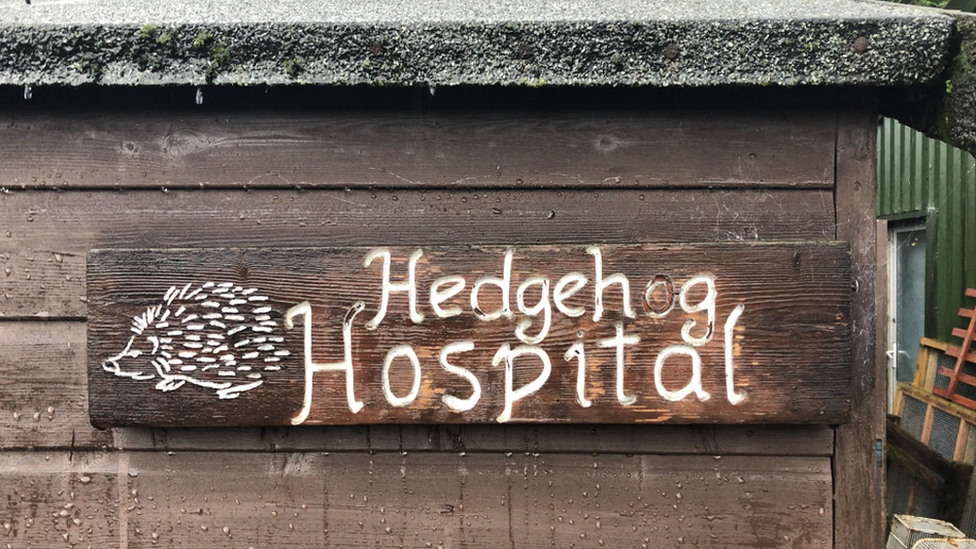 the sign for the hedgehog hospital