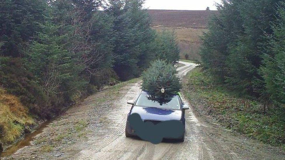 Car leaving Cloceanog forest