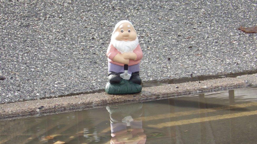 'Cormy' the gnome