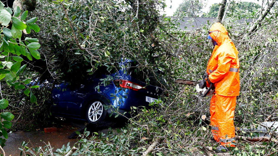 A municipal worker uses a chainsaw to cut branches on a tree that fell on a car in Pinetown, near Durban - 12 April 2022