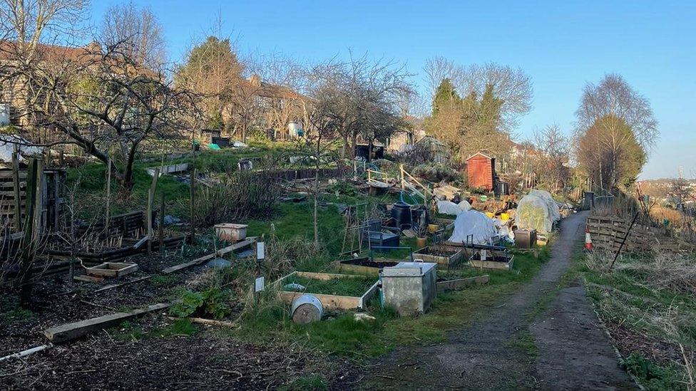 Redland Green Allotments