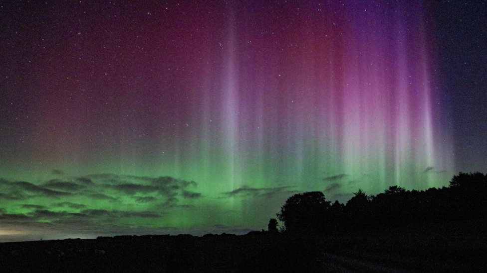 Shards of purple and white light in the night sky with a background of green in the distance.