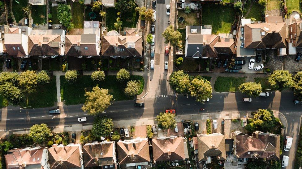 houses-along-a-road-with-trees.