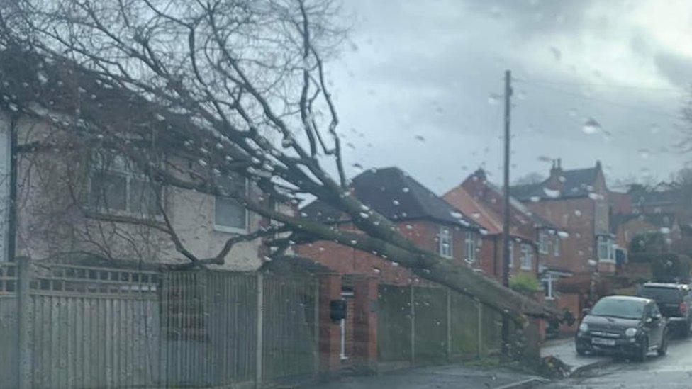 Lees Road, in Mapperley