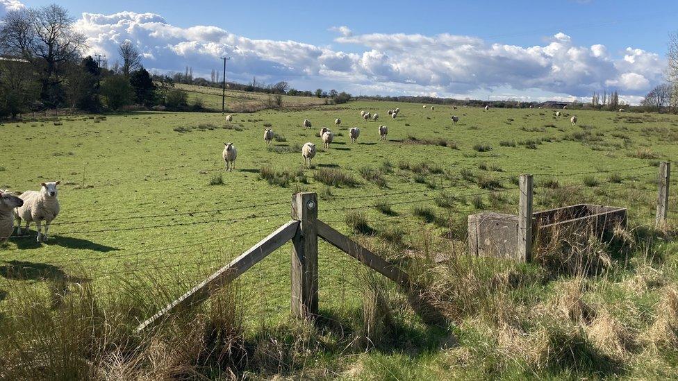 Green belt land earmarked to be used in the Mosley Common scheme