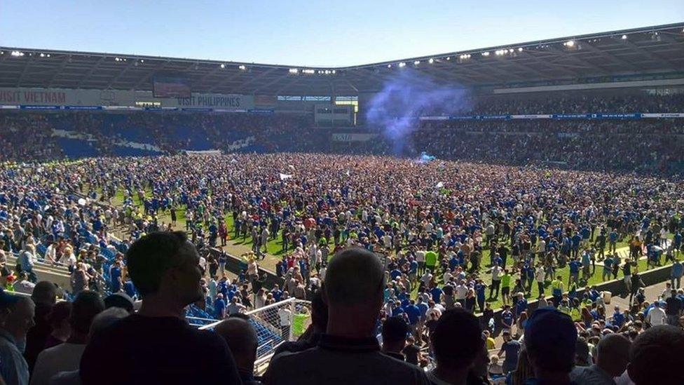 Cardiff fans on the pitch at the end of the game