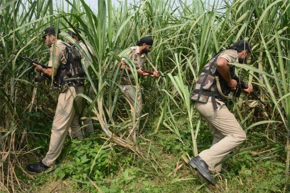 Indian Punjab policemen take part in search operations in a sugar cane field near the Indian-Pakistan border Chakri post, about 20km from Gurdaspur, on October 3, 2016.