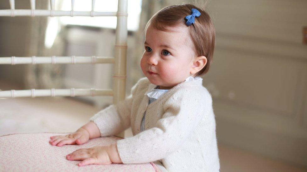 Princess Charlotte photographed for her first birthday