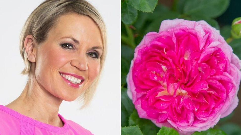 Dianne Oxberry and Florida Sunset rose