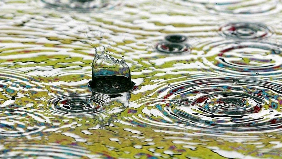 puddle with raindrops