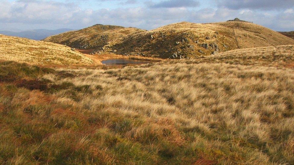 Moel y Llyn