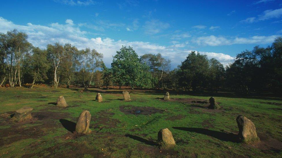 Nine Ladies Stone Circle