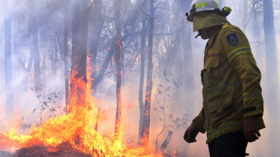 A firefighter stands in front of flames at a blaze in Port Macquarie on 2 November 2019.