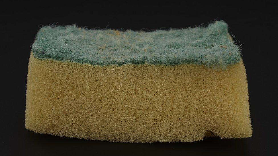 A close-up picture of a used kitchen sponge, which is a faded yellow with a green scrubber