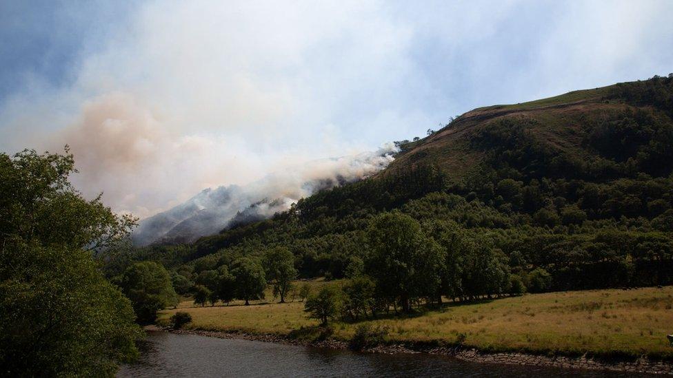 Tân Cwm Rheidol