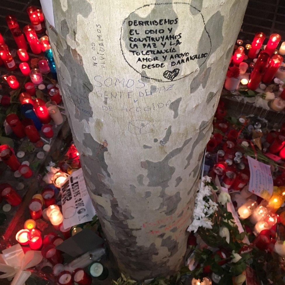 Tree on the Ramblas, Barcelona, 21 August