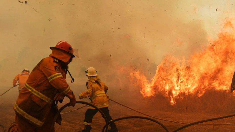 RFS Firefighters battle a spot fire on November 13, 2019 in Hillville, Australia.