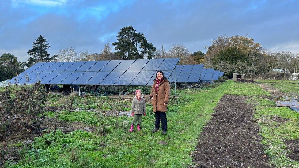 solar panels