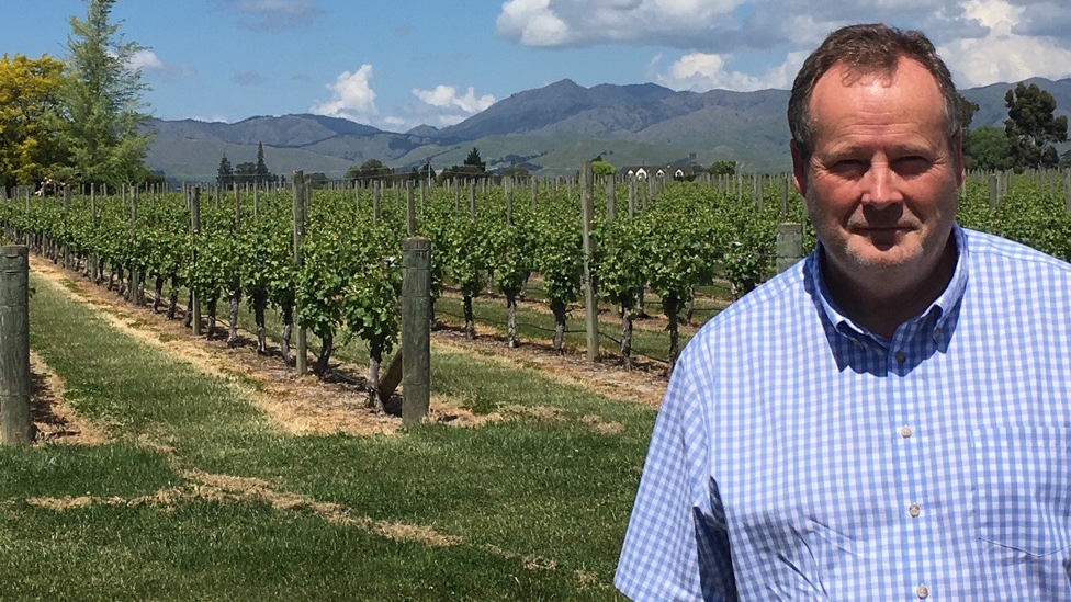 Mark Lansley in a vineyard