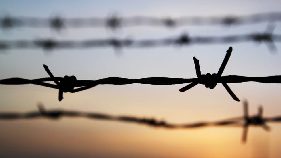 barbed wire