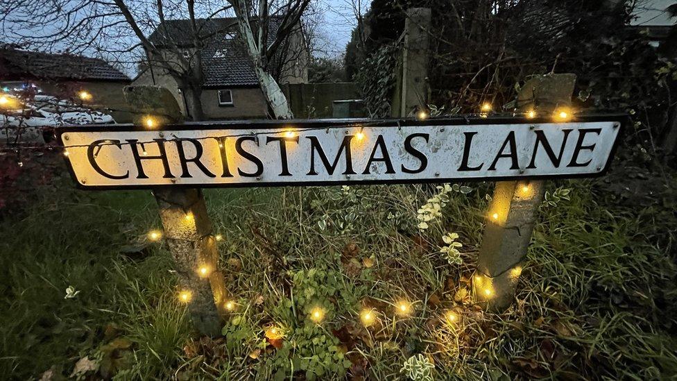 Christmas Lane lights